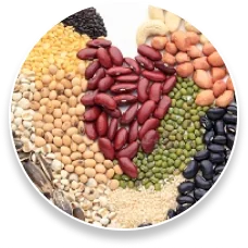 Phytosterols — ingredient in ProstaPure Advantage